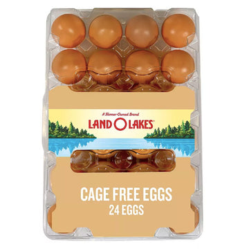 Land O Lakes Large Brown Cage Free Grade A Eggs, 24 Count