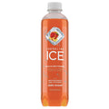 Sparkling Ice Water, Peach Nectarine, 17 Fl Oz