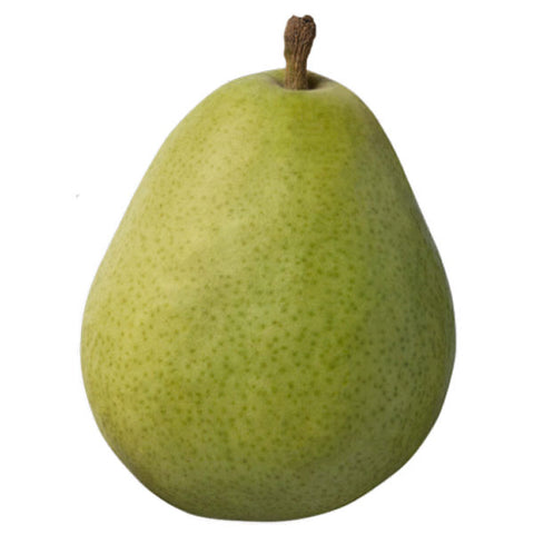 Anjou Pear - Each