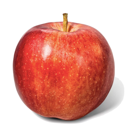 Apple, Gala - each - Water Butlers