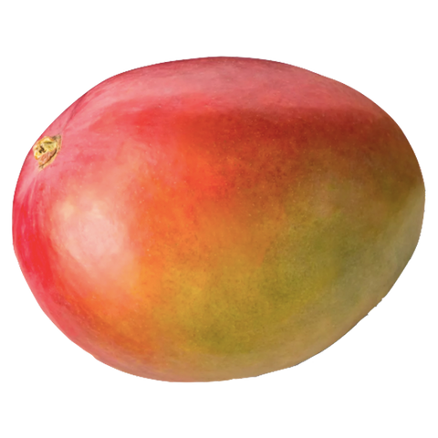 Premium Mango - each - Water Butlers