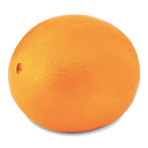 Orange - each - Water Butlers