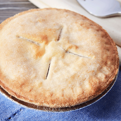 Freshness Guaranteed Blueberry Pie, 4 oz - Water Butlers