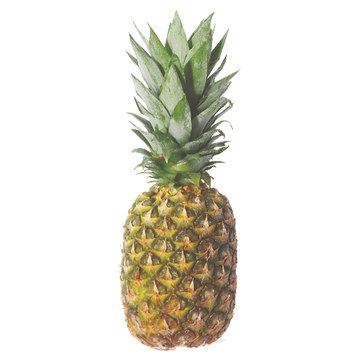 Premium Pineapple - each