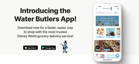 Best Grocery Delivery to Disney World Resorts
