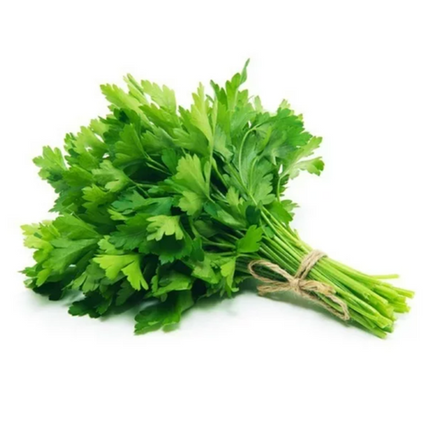 Fresh Cilantro, Bunch