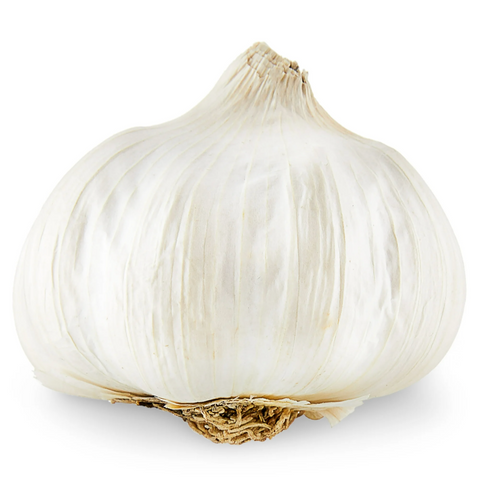 Garlic Bulb Fresh Whole, Each