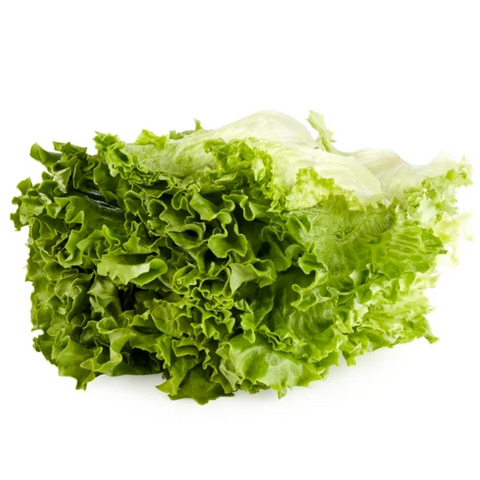 Green Giant Fresh Washed & Trimmed Green Leaf Lettuce, 7 oz