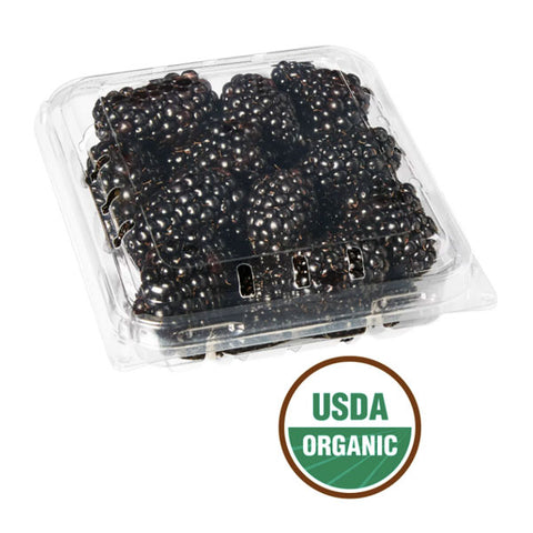 Fresh Organic Blackberries, 6 oz