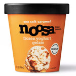 Noosa Frozen Yogurt Gelato Sea Salt Caramel, 14oz