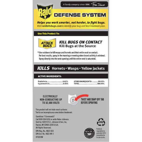 Raid Wasp & Hornet Insect Killer 33, 17.5 oz