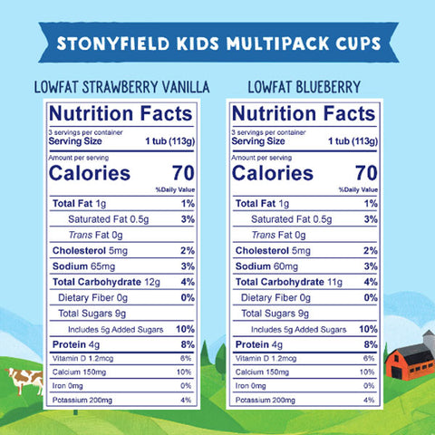 Stonyfield Organic Kids Blueberry & Strawberry Vanilla Lowfat Yogurt 4 oz., 6 Ct