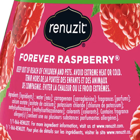 Renuzit Adjustable Solid Gel Air Freshener Cone, Forever Raspberry, 7 oz