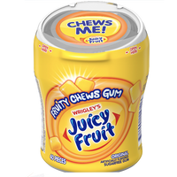 Fruity Original Sugar Free Gum - Water Butlers