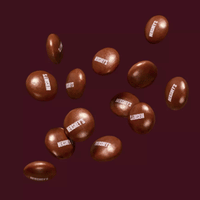 Hershey's Milk Chocolate Drops, 14oz - Water Butlers