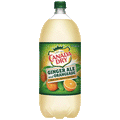 Canada Dry Ginger Ale and Orangeade, 2 L bottle - Water Butlers