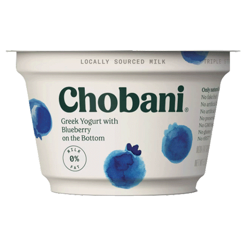 Chobani Blueberry Nonfat Greek Yogurt, 5.3oz 4 Ct - Water Butlers