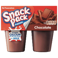 Hunt's Snack Pack Chocolate Pudding, 4 Ct - Water Butlers