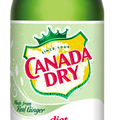 Diet Canada Dry Ginger Ale, 2L Bottle - Water Butlers