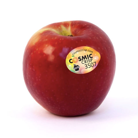 Cosmic Crisp Apple - each