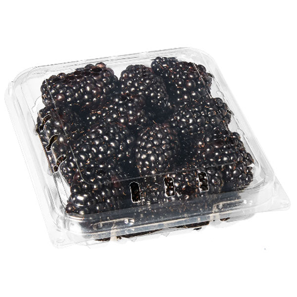 Fresh Blackberries, 6 oz