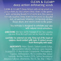 Clean & Clear Oil-Free Deep Action Exfoliating Facial Scrub, 7 oz - Water Butlers