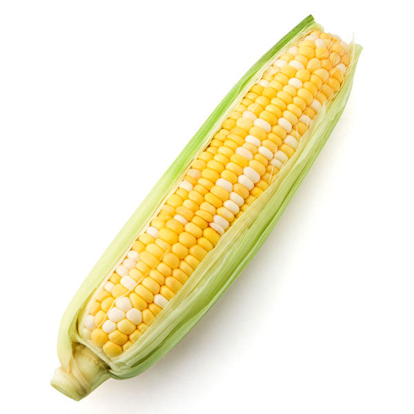 Fresh Corn on the Cob, each