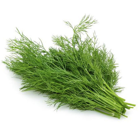 Dill Fresh Cut, 0.75 oz - Water Butlers