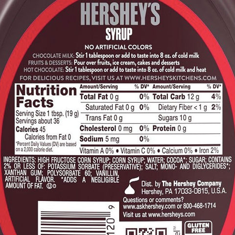 Hershey's Chocolate Syrup, 24oz - Water Butlers