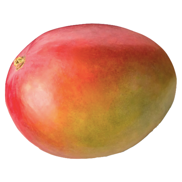 Premium Mango - each