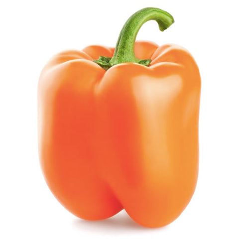 Orange Bell Pepper, 1 each - Water Butlers