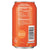 bubly Orange Sparkling Water 12 fl oz, 8 Ct - Water Butlers