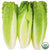 Organic Romaine Lettuce Hearts, Pack of 3 - Water Butlers
