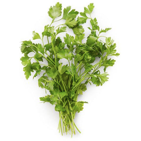 Parsley Fresh Cut, 0.75 oz - Water Butlers