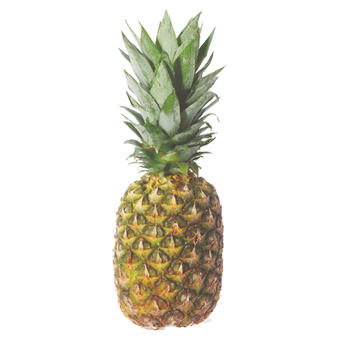 Premium Pineapple - each - Water Butlers