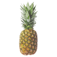 Premium Pineapple - each - Water Butlers