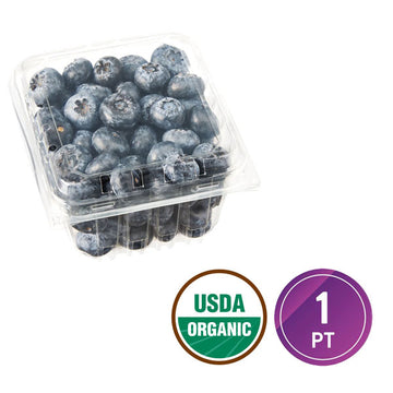 Fresh Organic Blueberries, 12 oz