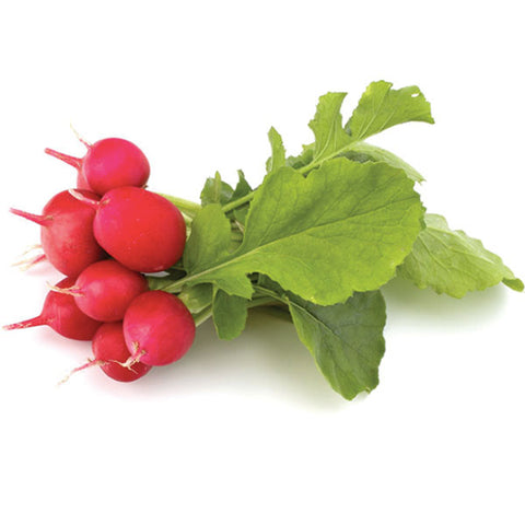 Radish, bunch - Water Butlers