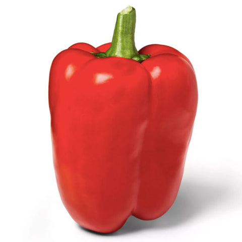 Red Bell Pepper, 1 each - Water Butlers