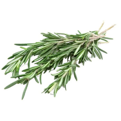 Rosemary Fresh Cut, 0.75 oz - Water Butlers