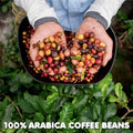 Dunkin Donuts 100% Colombian Medium Roast Ground Coffee, 11 oz - Water Butlers