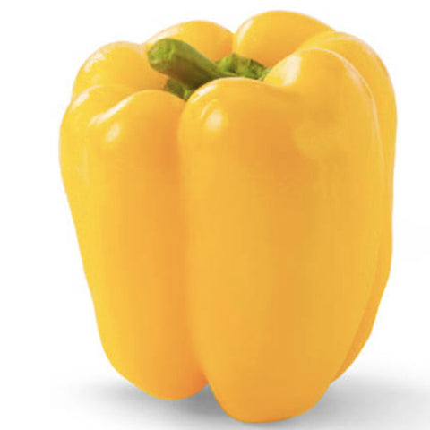 Yellow Bell Pepper, 1 each - Water Butlers